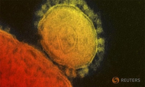 MERS virus kills Qatari