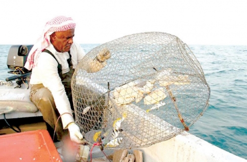 Calls grow to support fishermen and protect traditional livelihoods