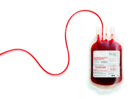Ban on gays donating blood lifted in Argentina