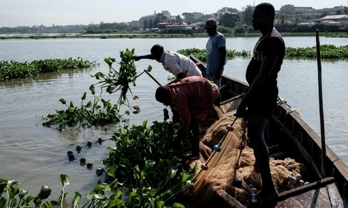 On Lake Victoria, a green stain spreads across Africa’s blue heart