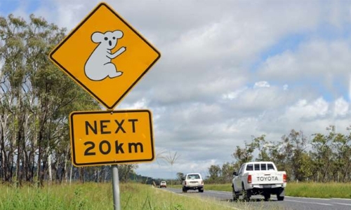 Aussie kids take stolen car on 1,000-kilometre road trip