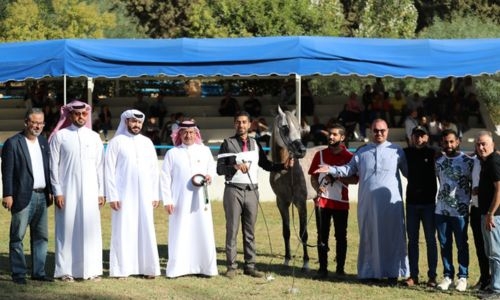 BREEF’s Horse Beauty Team shine in Middle East Championship