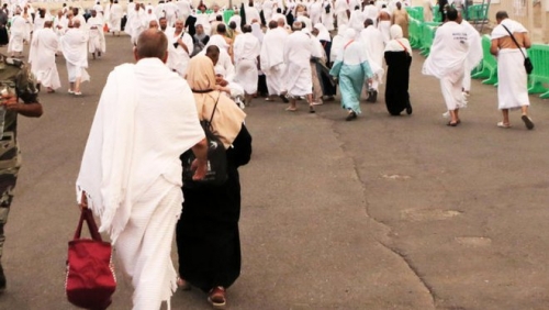 Making Haj free from Zika, MERS 