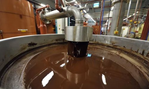 World's biggest chocolate factory shut down following Salmonella outbreak World's biggest chocolate factory shut down following Salmonella outbreak