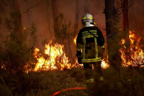 France wildfire near Bordeaux remains ‘broadly stable’ overnight France wildfire near Bordeaux remains ‘broadly stable’ overnight