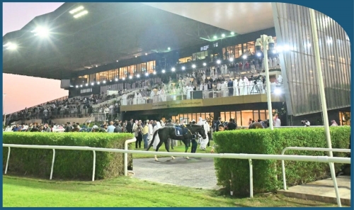 Rashid Equestrian Club Approves 2025–2026 Racing Calendar