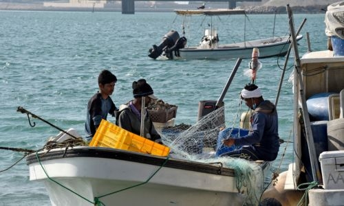 Bahraini MPs oppose fishing ban, call for 'balanced approach'