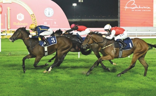 Bahrain to host National Day horse racing festival 