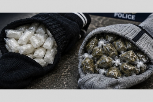 Traffic Crash Uncovers Drug Smuggling Network