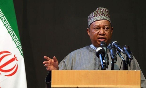 OPEC says determined to avoid ‘energy crisis’