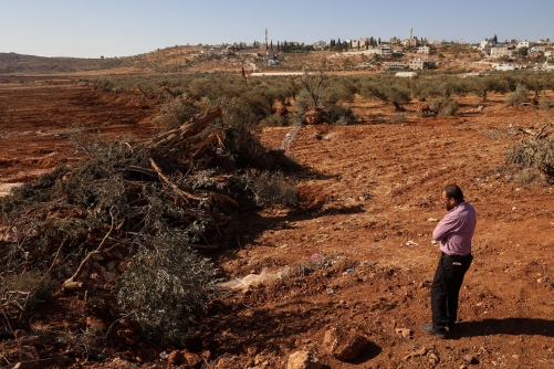 Israeli bulldozers uproot hundreds of trees in West Bank village