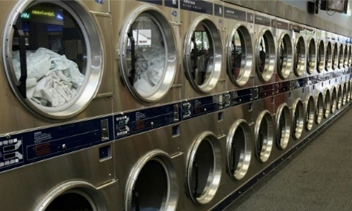 Malaysia hands jail term to laundrette cat killer Malaysia hands jail term to laundrette cat killer