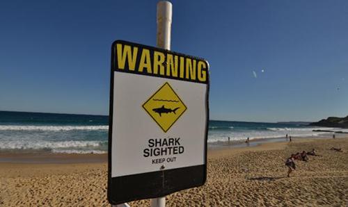 Calls for more protection after latest Australia shark attack