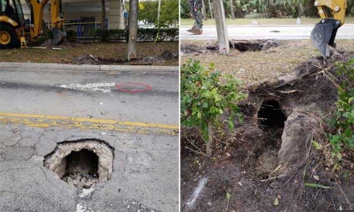 Florida sinkhole leads to secret tunnel to bank Florida sinkhole leads to secret tunnel to bank