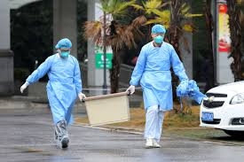 China coronavirus: Fear grips Wuhan as lockdown begins
