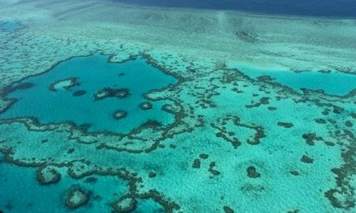 India's Adani to start work on mine near Great Barrier Reef