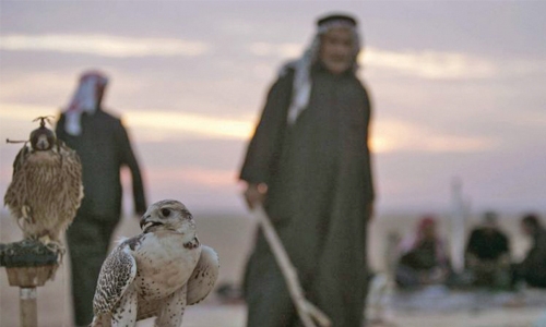 Qataris speak of joy at release