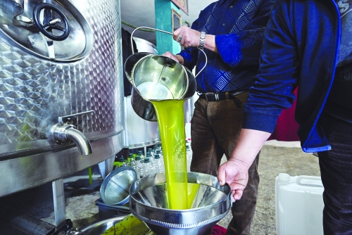 EU olive oil import checks rare or ‘non-existent’: watchdog