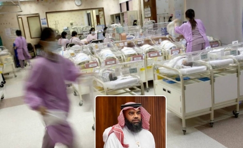 MPs push to set up public maternity hub MPs push to set up public maternity hub