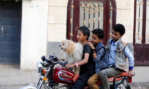 Yemeni pet shop survives despite the odds Yemeni pet shop survives despite the odds