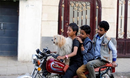 Yemeni pet shop survives despite the odds