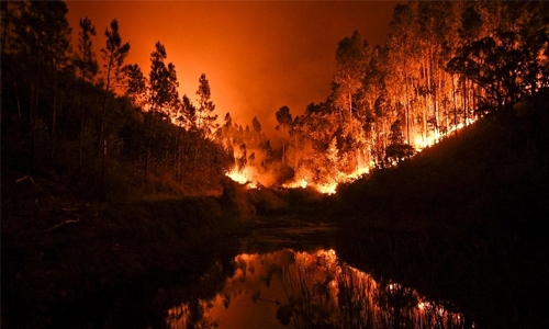 Raging Portugal forest fires kill dozens