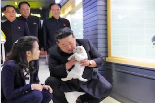 North Korea’s Kim pets puppies, kittens at Pyongyang pet shop