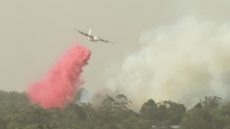 Canadian air tanker crashes while fighting Australia bushfires, three dead Canadian air tanker crashes while fighting Australia bushfires, three dead