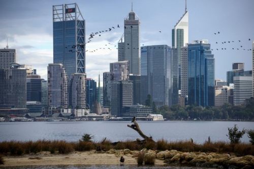 Australia says checking for more H5 bird flu infections Australia says checking for more H5 bird flu infections