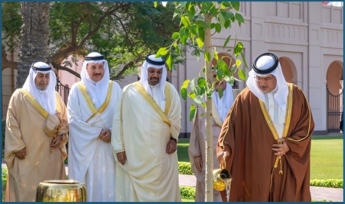 2.4 Million Trees Planted in 2025 2.4 Million Trees Planted in 2025