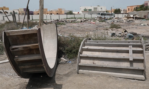 Arad School vicinity a breeding ground for snakes and rodents