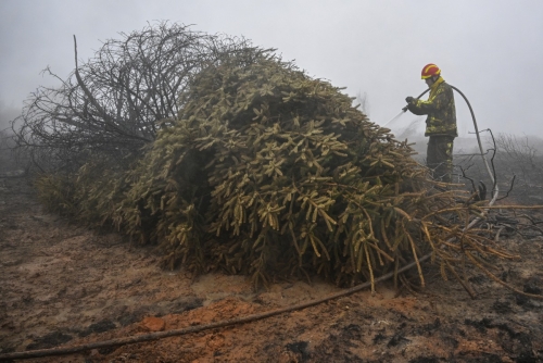 Belgian Wildfire Now ‘Under Control’: Authorities
