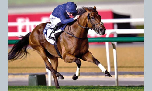 REHC horseracing to commence tomorrow