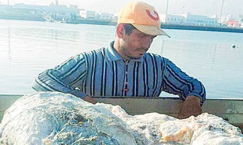 Omani fisherman becomes millionaire after rare find