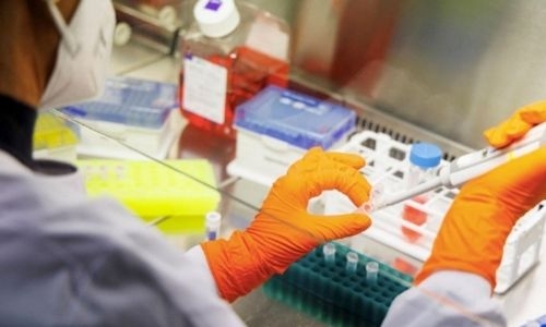 Monkeypox: Some countries have started limited vaccinations against viral outbreak