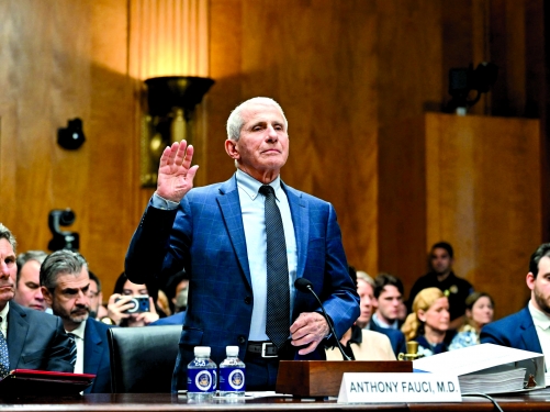 US Senate panel votes to hold top Covid expert Fauci in contempt