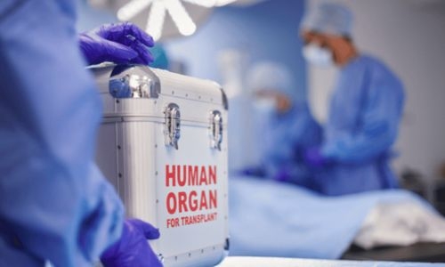 Organ Donation Gets Green Light