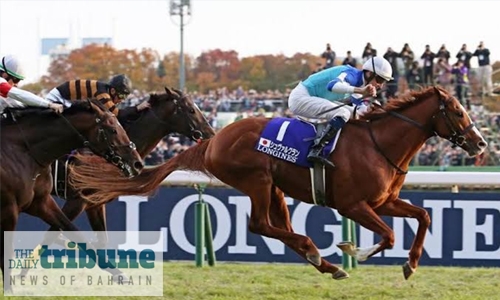 Al Hawaj Cup up for the taking in main race at REHC