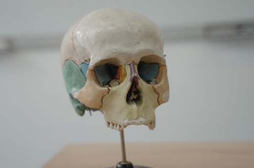 A tiny new organ has been discovered in the human body, Here’s why it matters A tiny new organ has been discovered in the human body, Here’s why it matters