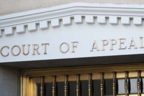 US appeals court temporarily halts mail delivery of abortion pill