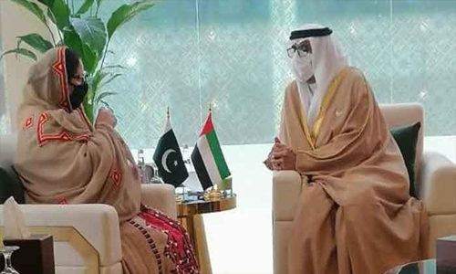 ‘Pakistan willing to work closely with UAE in defence production’
