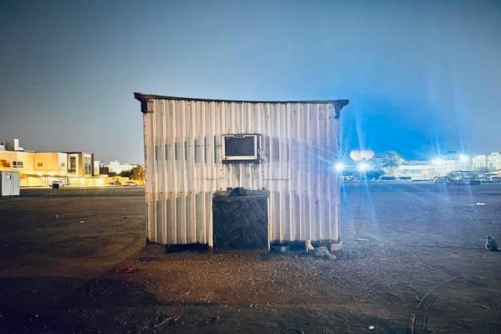 Abandoned Cats on the Rise as Volunteers Push for Mandatory Protection