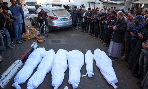 Pope calls for Gaza ‘genocide’ investigation Pope calls for Gaza ‘genocide’ investigation