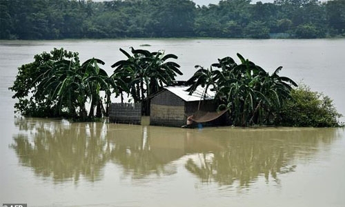 Nearly 600 dead in South Asia floods