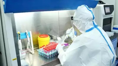 No evidence of human-to-human transmission of China Langya virus