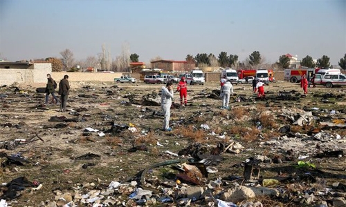 Iran says UN investigator lacks authority to comment on downing of Ukrainian plane