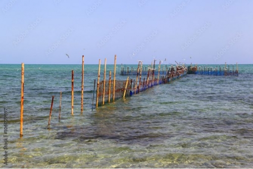 MP Presses for Faster Pension Payments, Fair Treatment for Fishermen and Mosque Rehabilitation