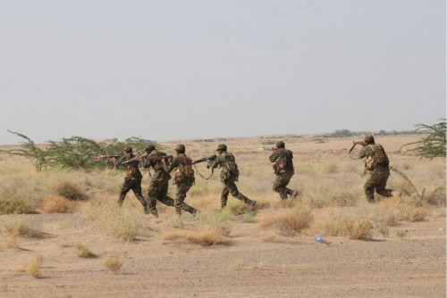 Yemeni Forces Intercept Houthi Ballistic Missile
