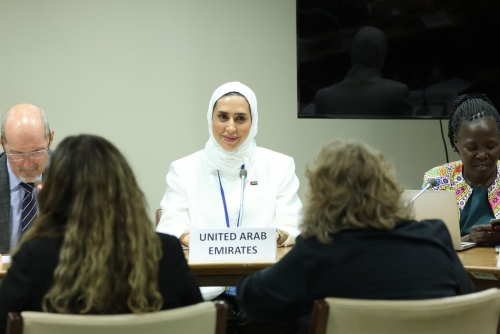 UAE Highlights Inclusive Policies for Persons with Disabilities UAE Highlights Inclusive Policies for Persons with Disabilities