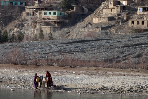 Afghan province orders officials not to photograph living things Afghan province orders officials not to photograph living things